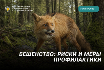 Бешенство: симптомы и меры профилактики